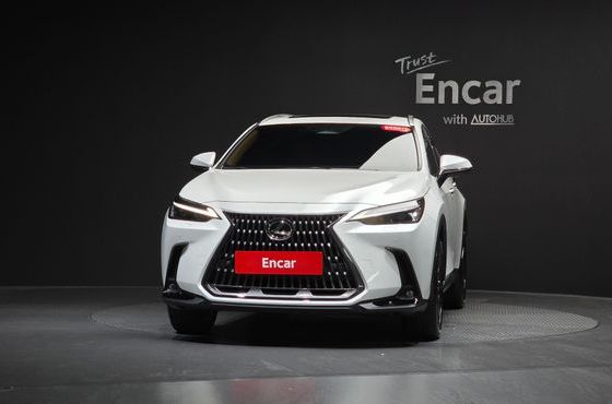 Lexus NX Premium — пробег 10 624 км — фото 3 из 5