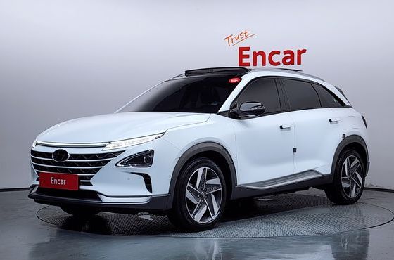 Hyundai Nexo Premium — пробег 46 818 км — фото 1 из 5
