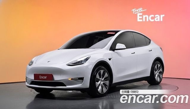 Tesla Model Y Long Range AWD — пробег 168 766 км — фото 1 из 5