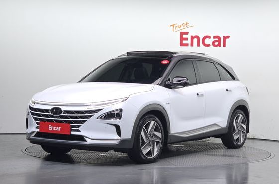 Hyundai Nexo Premium — пробег 37 689 км — фото 1 из 5