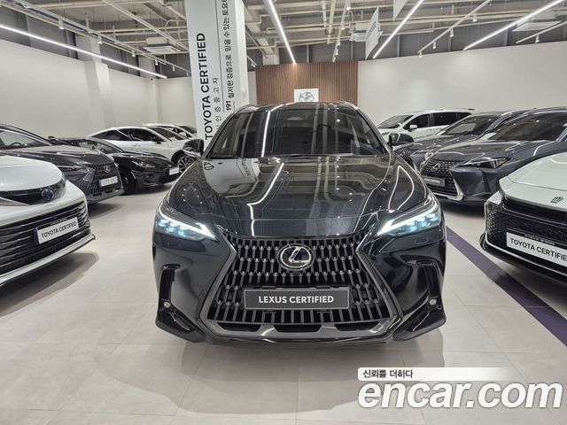 Lexus NX из Кореи Encar