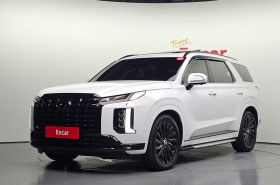 Hyundai Palisade Diesel 2.2 4WD Calligraphy Black Edition — пробег 29 053 км — фото 1 из 5