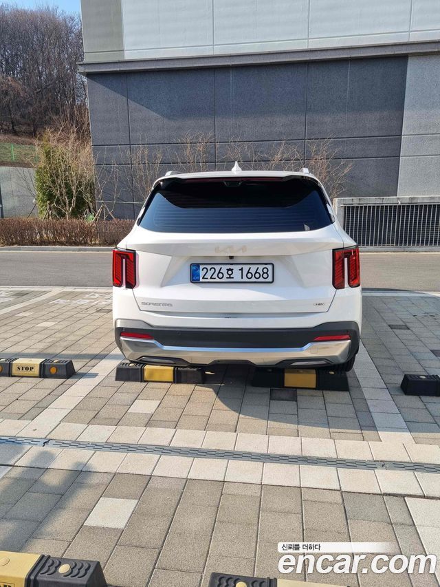 Kia Sorento HEV 1.6 2WD Noblesse — пробег 8 125 км — фото 5 из 5