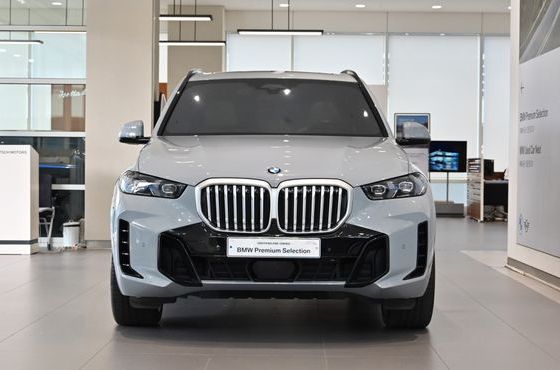 BMW X5 xDrive 30d M Sport — пробег 16 965 км — фото 3 из 5