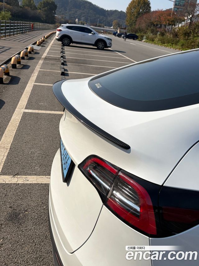 Tesla Model Y из Кореи Encar