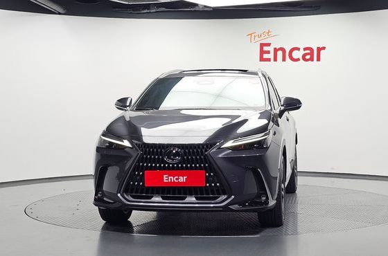 Lexus NX Premium — пробег 16 707 км — фото 3 из 5