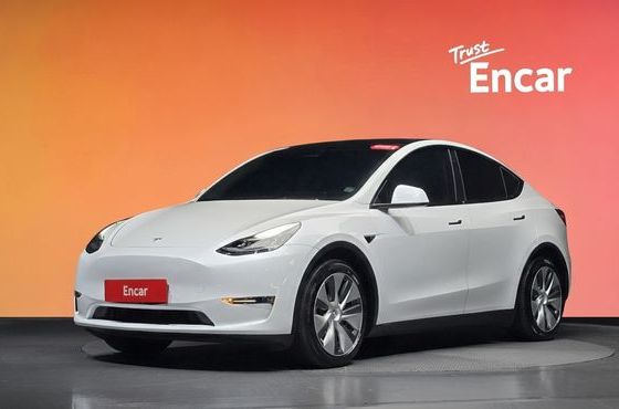 Tesla Model Y Long Range AWD — пробег 157 532 км — фото 1 из 5