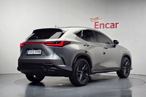 Lexus NX Premium — пробег 13 959 км — фото 2 из 5