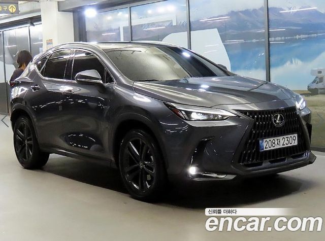 Lexus NX Premium — пробег 23 890 км — фото 1 из 5