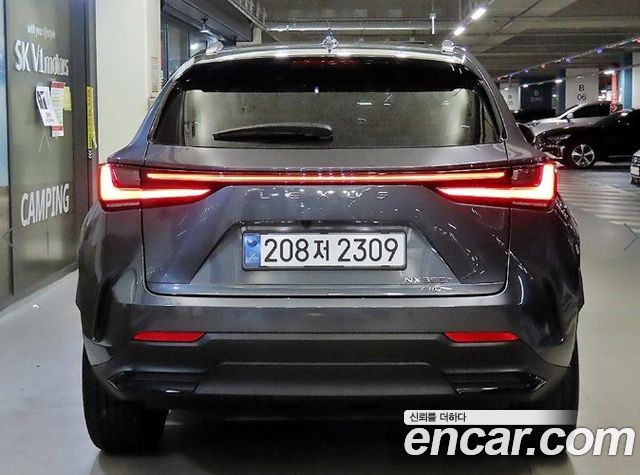 Lexus NX Premium — пробег 23 890 км — фото 5 из 5