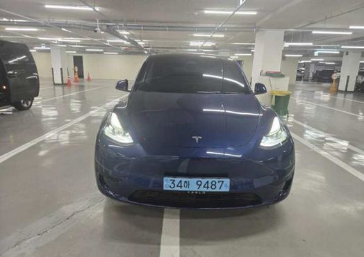 Tesla Model Y RWD — пробег 42 783 км — фото 1 из 5