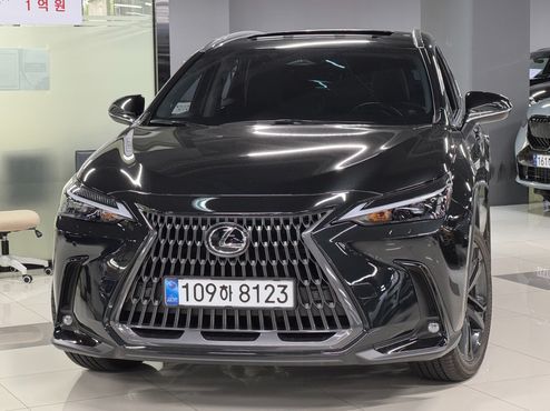 Lexus NX Premium — пробег 7 400 км — фото 1 из 5