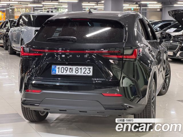 Lexus NX Premium — пробег 7 400 км — фото 3 из 5