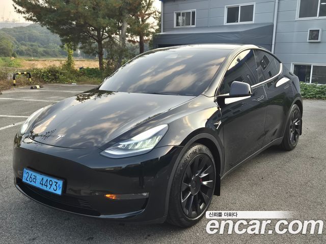Tesla Model Y из Кореи Encar