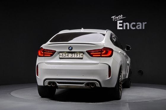 BMW X6 xDrive 30d — пробег 183 919 км — фото 4 из 5