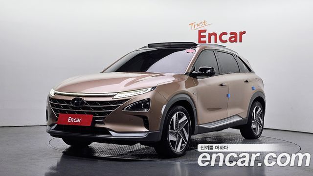 Hyundai Nexo Premium — пробег 124 636 км — фото 1 из 5