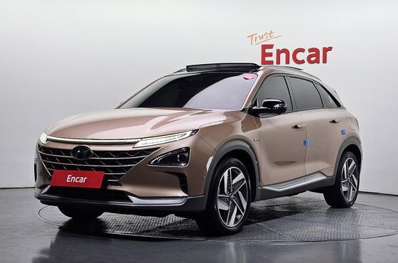 Hyundai Nexo Premium — пробег 124 636 км — фото 1 из 5