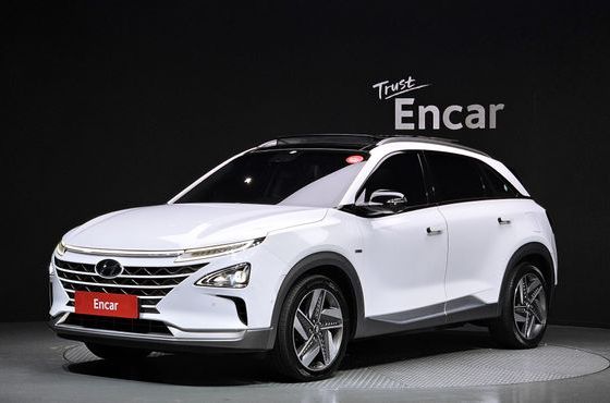 Hyundai Nexo Premium — пробег 93 145 км — фото 1 из 5