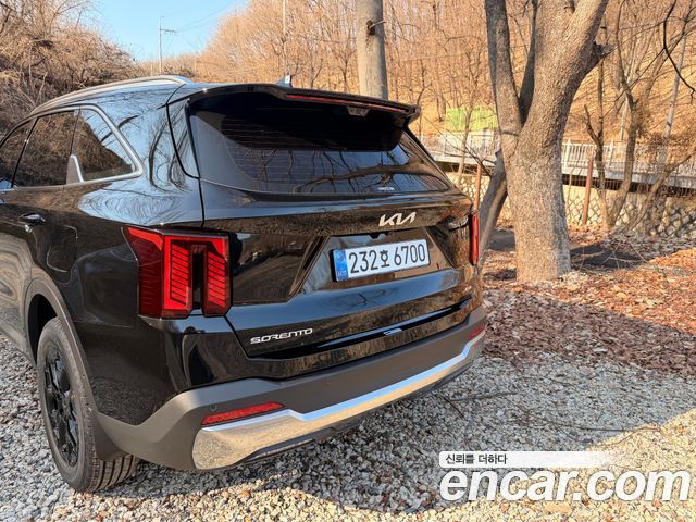 Kia Sorento HEV 1.6 2WD Noblesse — пробег 2 500 км — фото 3 из 5