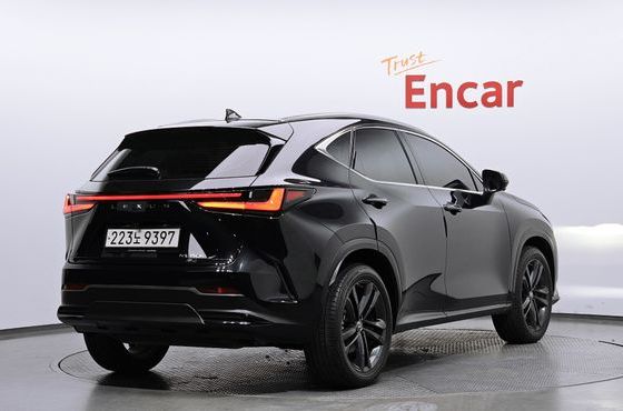 Lexus NX Premium — пробег 30 622 км — фото 2 из 5