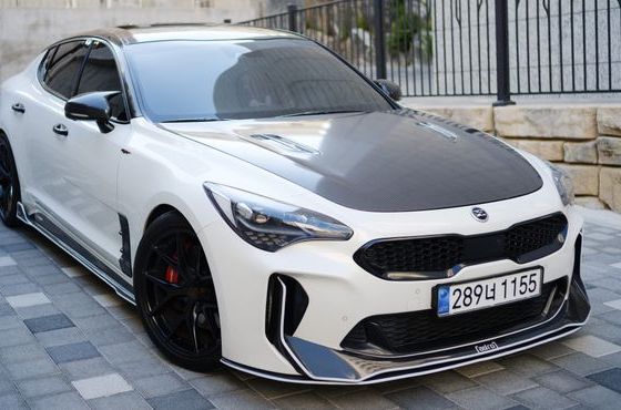 Kia Stinger 3.3 Turbo 2WD GT — пробег 111 129 км — фото 3 из 5