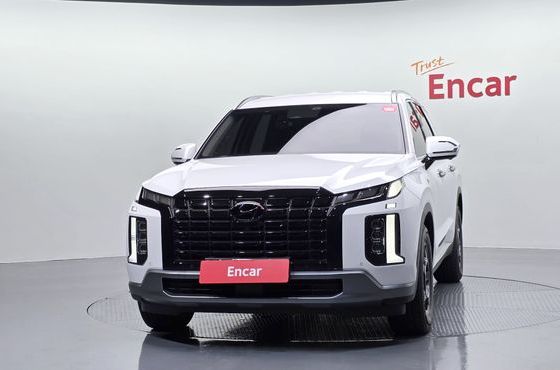 Hyundai Palisade Diesel 2.2 2WD Exclusive — пробег 20 160 км — фото 3 из 5