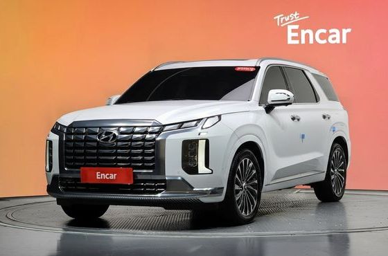 Hyundai Palisade Diesel 2.2 2WD Calligraphy — пробег 67 037 км — фото 1 из 5