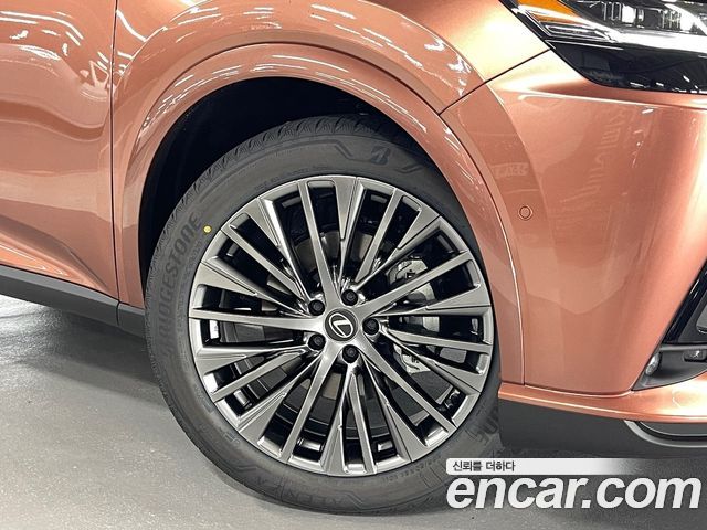 Lexus RX Luxury — пробег 9 км — фото 4 из 5
