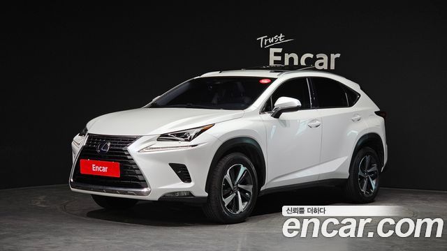 Lexus NX Supreme — пробег 74 860 км — фото 1 из 5