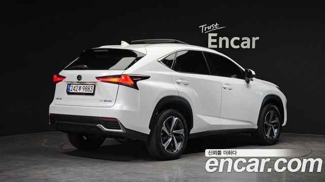 Lexus NX Supreme — пробег 74 860 км — фото 2 из 5