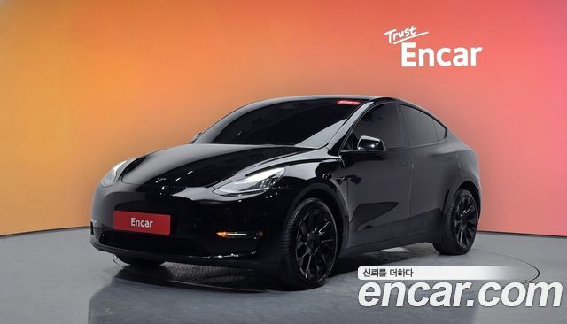 Tesla Model Y Long Range AWD — пробег 150 346 км — фото 1 из 5