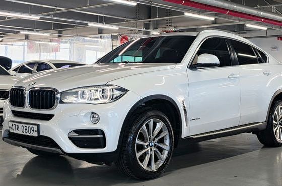 BMW X6 xDrive 30d — пробег 231 483 км — фото 1 из 5