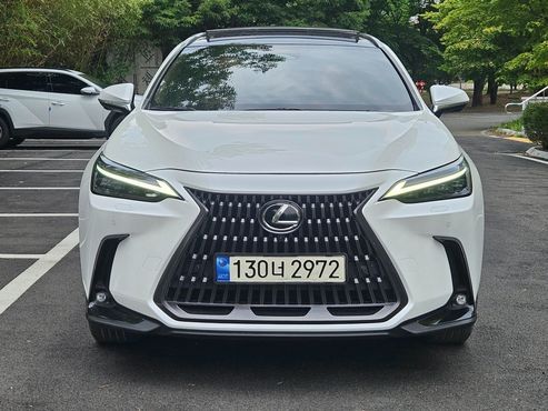 Lexus NX Luxury — пробег 50 526 км — фото 1 из 5