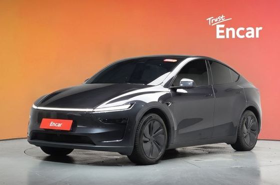 Tesla Model Y Long Range AWD — пробег 18 275 км — фото 1 из 5