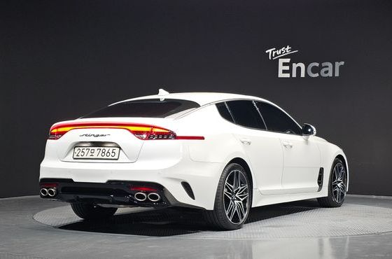 Kia Stinger 2.5 Platinum — пробег 19 188 км — фото 2 из 5