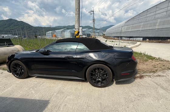 Ford Mustang Convertible — пробег 61 000 км — фото 1 из 4