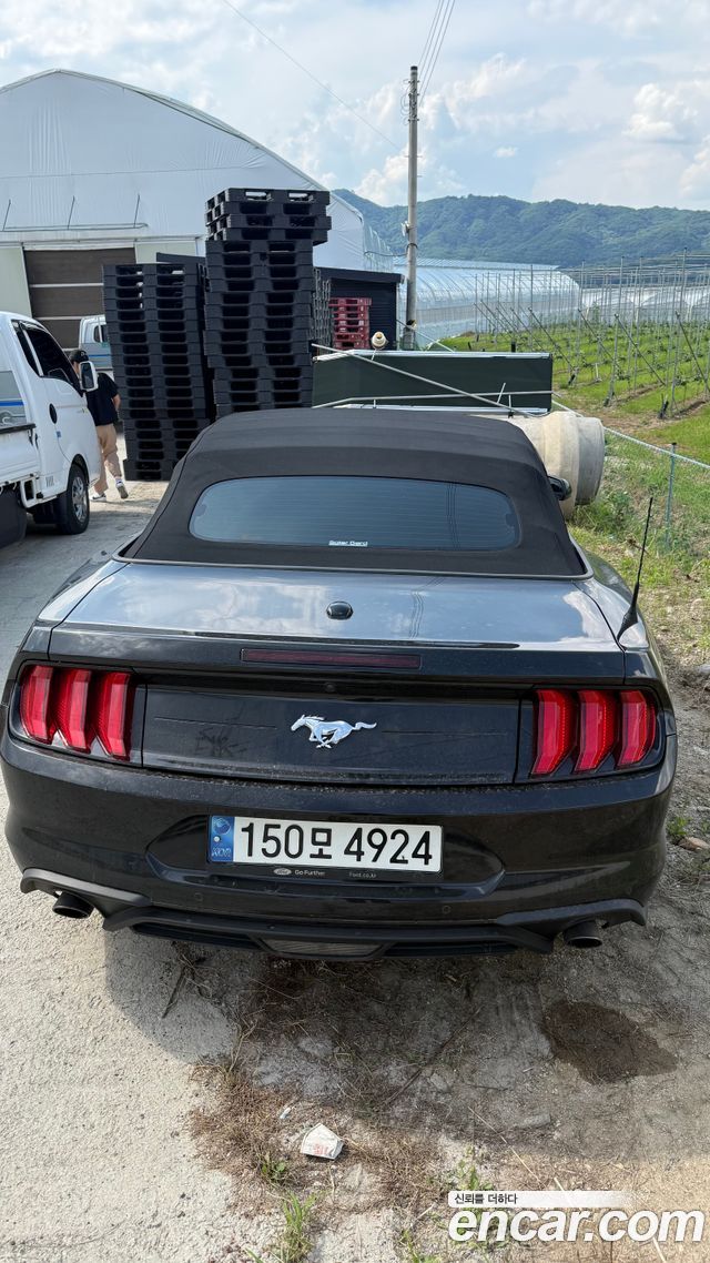 Ford Mustang Convertible — пробег 61 000 км — фото 4 из 4