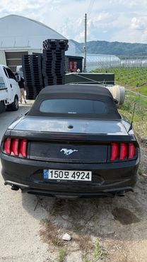 Ford Mustang Convertible — пробег 61 000 км — фото 4 из 4