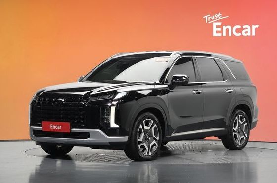 Hyundai Palisade Diesel 2.2 2WD Prestige — пробег 171 744 км — фото 1 из 5