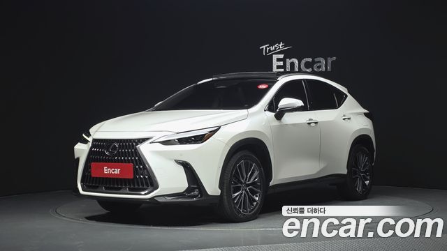 Lexus NX Luxury — пробег 42 607 км — фото 1 из 5