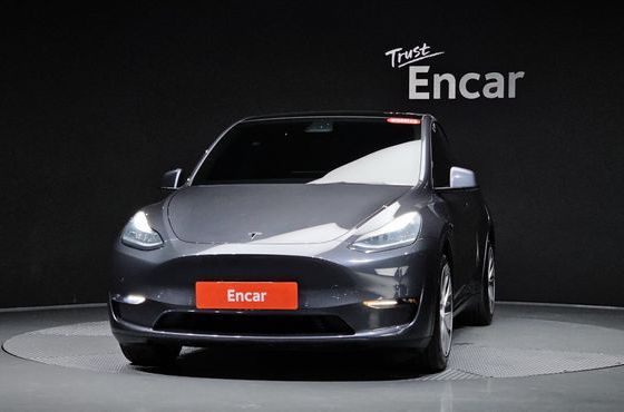 Tesla Model Y Long Range AWD — пробег 124 408 км — фото 3 из 5