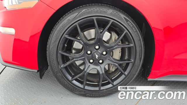 Ford Mustang из Кореи Encar