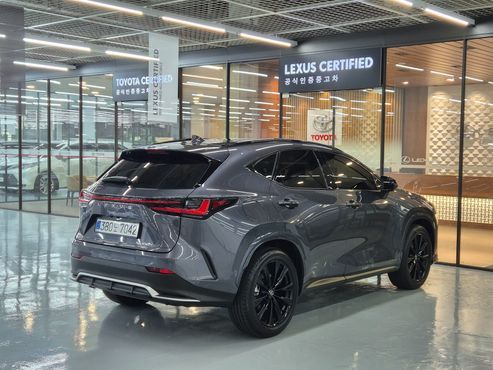 Lexus NX F-Sport — пробег 21 424 км — фото 2 из 5