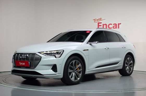 Audi e-tron 55 Quattro — пробег 167 234 км — фото 1 из 5