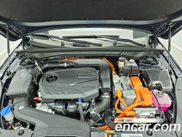 Kia K5 Signature — пробег 334 км — фото 5 из 5