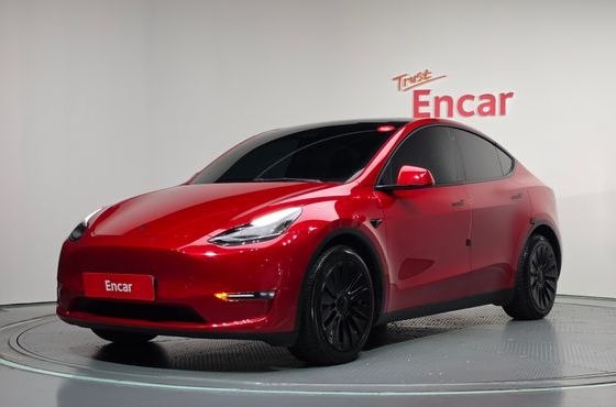 Tesla Model Y Long Range AWD — пробег 76 563 км — фото 1 из 5