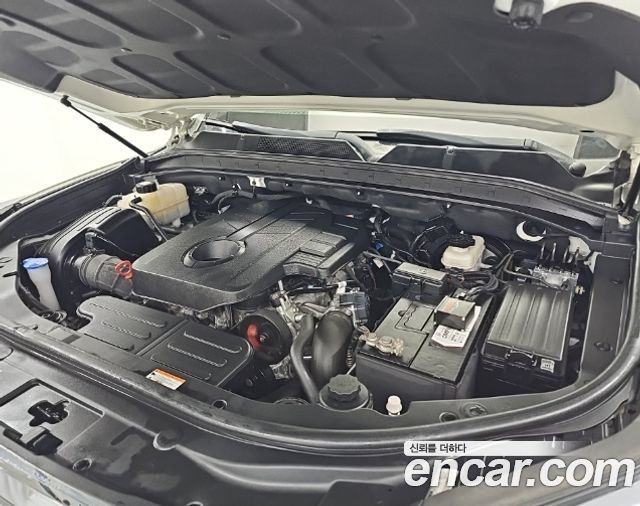 Ssangyong Rexton Diesel 2.2 4WD Professional X (5-Link) — пробег 65 266 км — фото 5 из 5