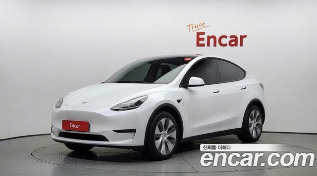 Tesla Model Y Long Range AWD — пробег 85 818 км — фото 1 из 5
