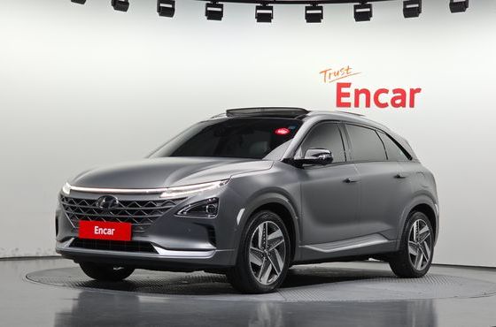 Hyundai Nexo Premium — пробег 154 472 км — фото 1 из 5