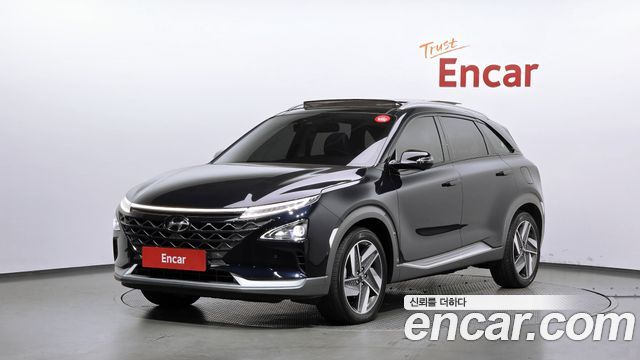 Hyundai Nexo Premium — пробег 62 768 км — фото 1 из 5